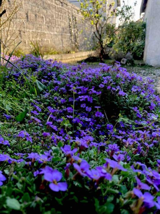 Le Ni' De Jess Villa Migennes Ngoại thất bức ảnh
